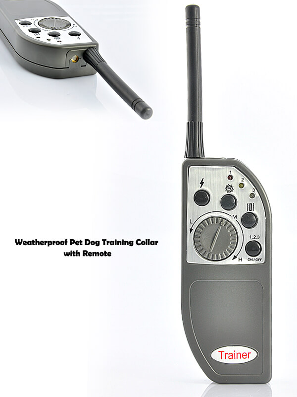 dog training collar with remote control